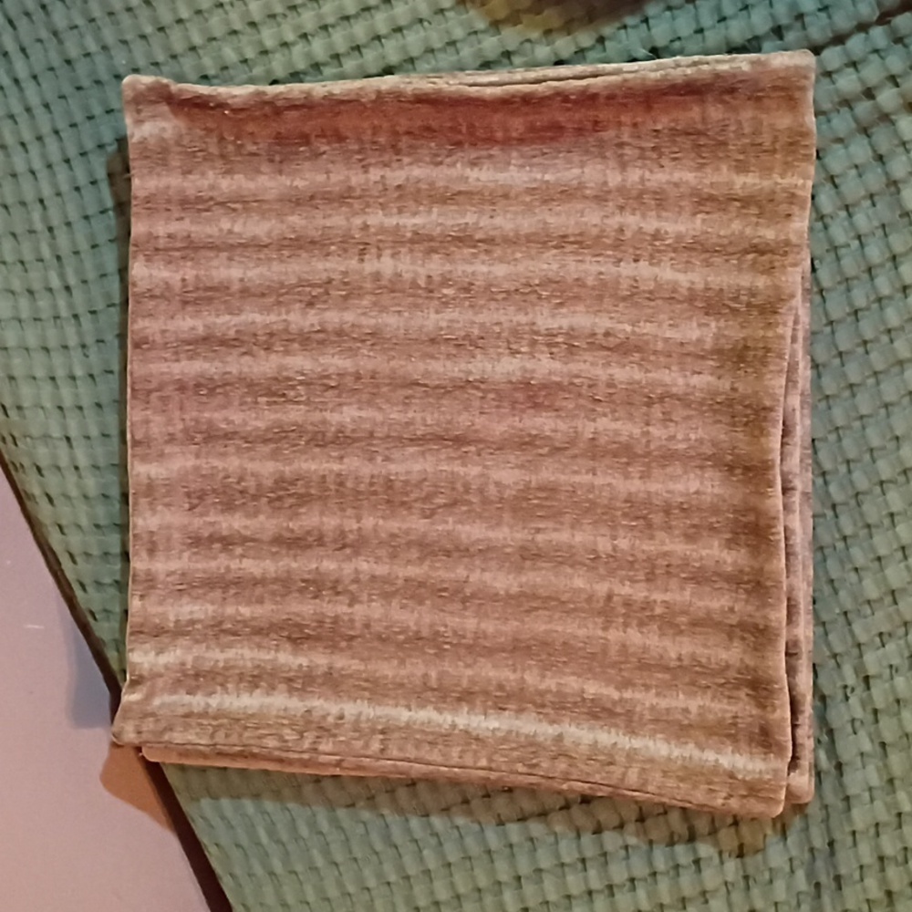 2 Throw Pillow Covers